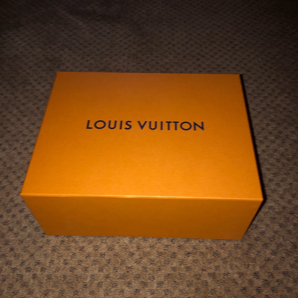 Louis Vuitton Shoe Box